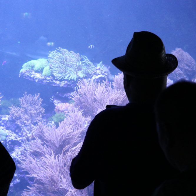 Tierparkbesuch am 20.08.2023