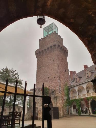 Bene Dealer Days 2022